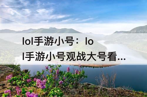lol手游小号：lol手游小号观战大号看视野
