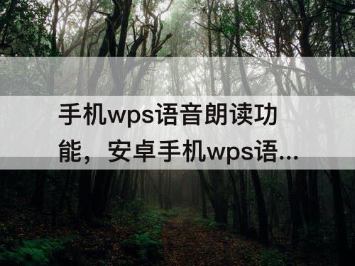 手机wps语音朗读功能，安卓手机wps语音朗读功能不见了