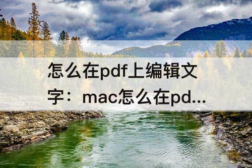 怎么在pdf上编辑文字：mac怎么在pdf上编辑文字