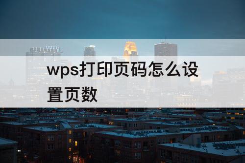 wps打印页码怎么设置页数