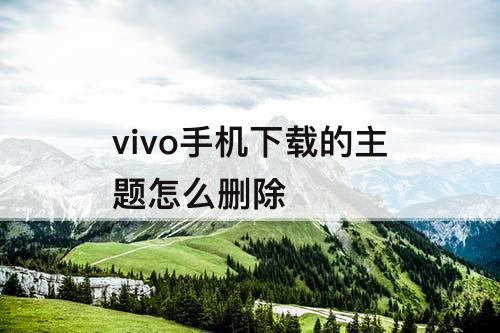 vivo手机下载的主题怎么删除