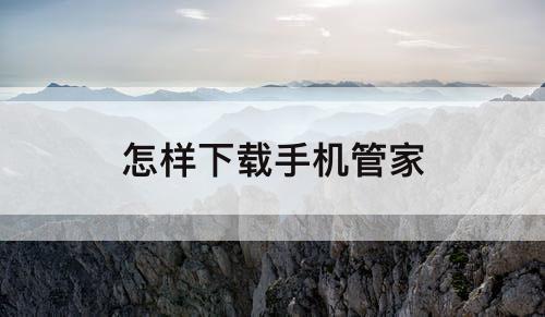 怎样下载手机管家