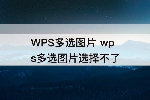WPS多选图片 wps多选图片选择不了