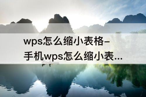wps怎么缩小表格-手机wps怎么缩小表格