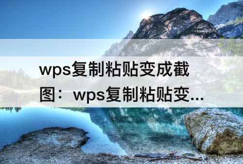 wps复制粘贴变成截图：wps复制粘贴变成截图怎么解决
