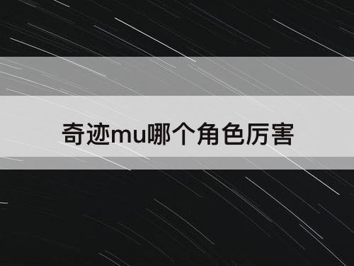 奇迹mu哪个角色厉害