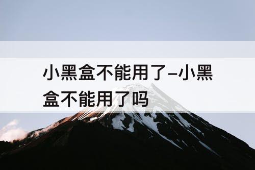 小黑盒不能用了-小黑盒不能用了吗