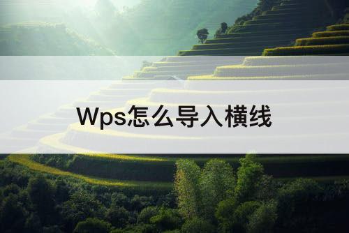 Wps怎么导入横线