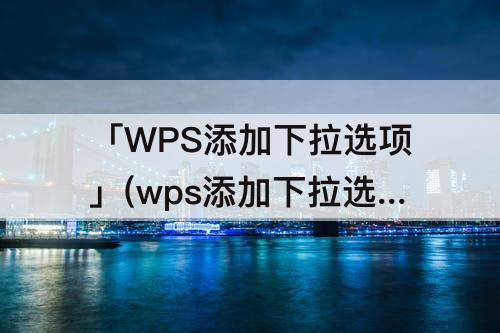 「WPS添加下拉选项」(wps添加下拉选项设置)