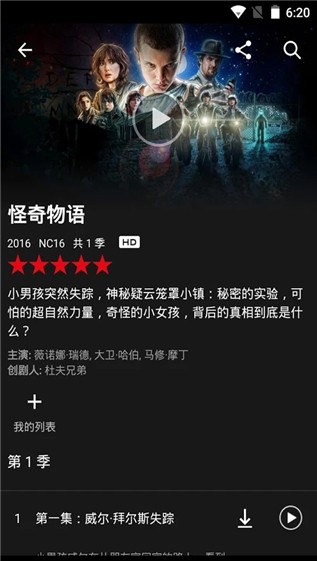 netflix版本截图