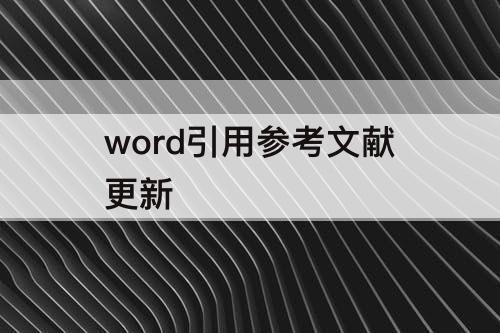 word引用参考文献更新