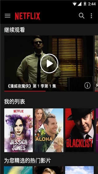 netflix版本截图