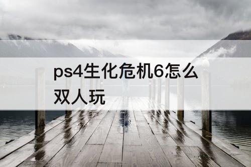 ps4生化危机6怎么双人玩