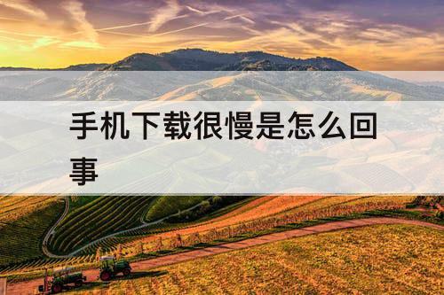 手机下载很慢是怎么回事