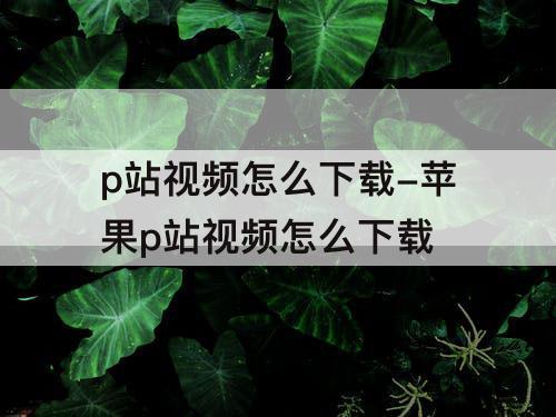 p站视频怎么下载-苹果p站视频怎么下载