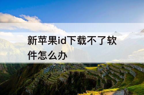 新苹果id下载不了软件怎么办