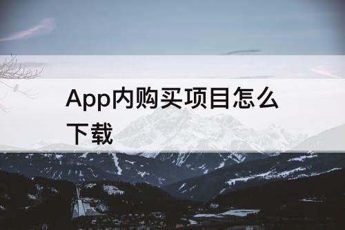 App内购买项目怎么下载