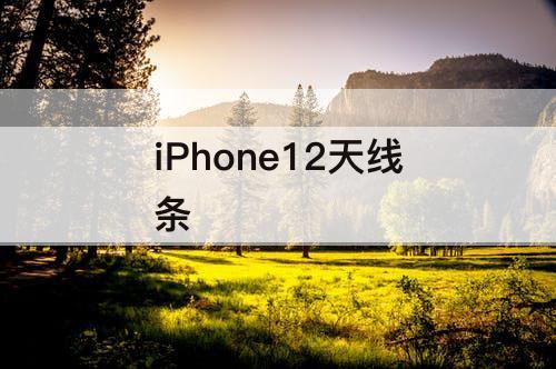 iPhone12天线条