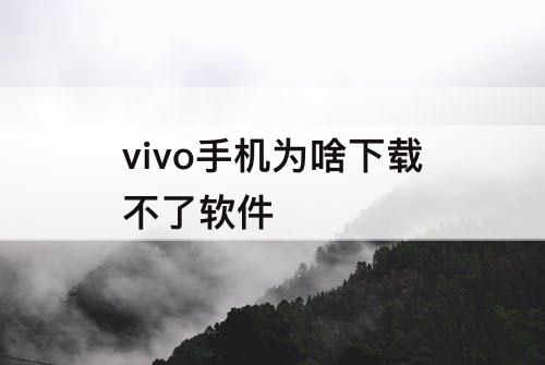vivo手机为啥下载不了软件