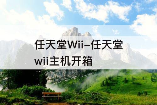 任天堂Wii-任天堂wii主机开箱