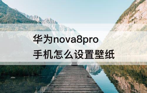 华为nova8pro手机怎么设置壁纸