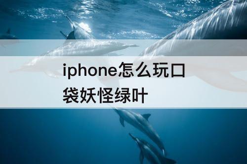 iphone怎么玩口袋妖怪绿叶