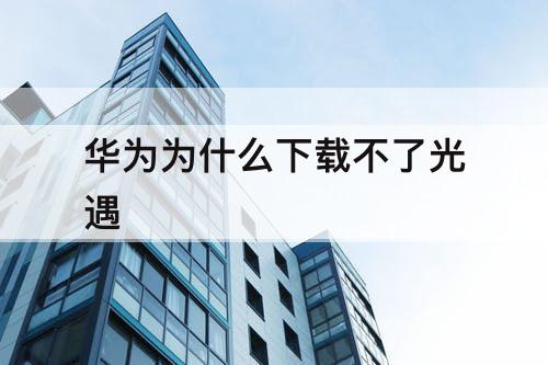 华为为什么下载不了光遇