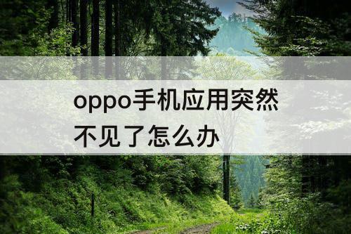 oppo手机应用突然不见了怎么办