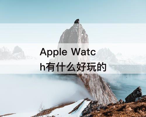Apple Watch有什么好玩的