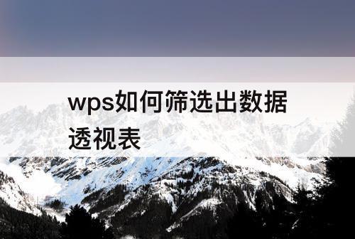wps如何筛选出数据透视表