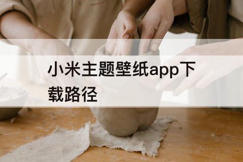 小米主题壁纸app下载路径