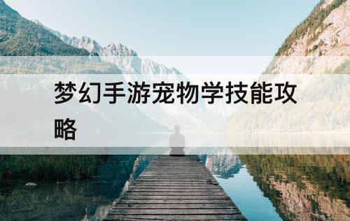 梦幻手游宠物学技能攻略