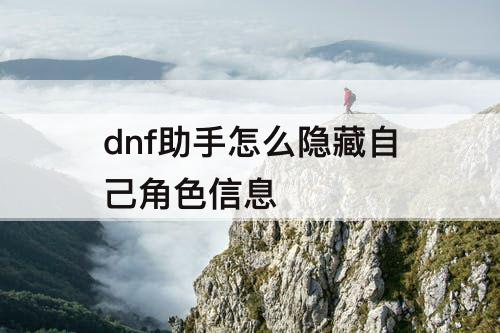 dnf助手怎么隐藏自己角色信息