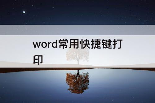 word常用快捷键打印