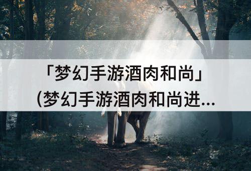 「梦幻手游酒肉和尚」(梦幻手游酒肉和尚进阶)