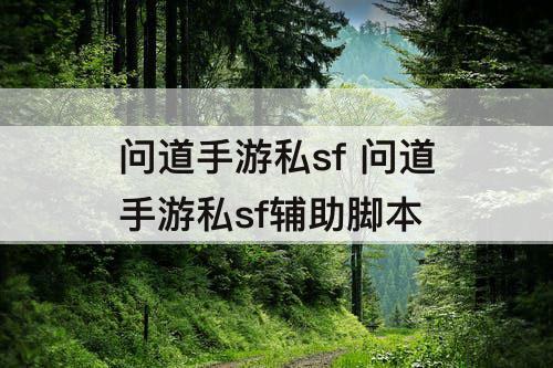 问道手游私sf 问道手游私sf辅助脚本