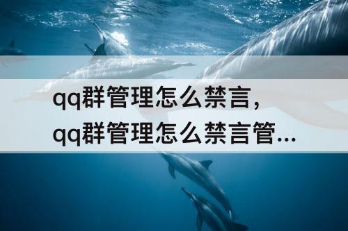 qq群管理怎么禁言，qq群管理怎么禁言管理