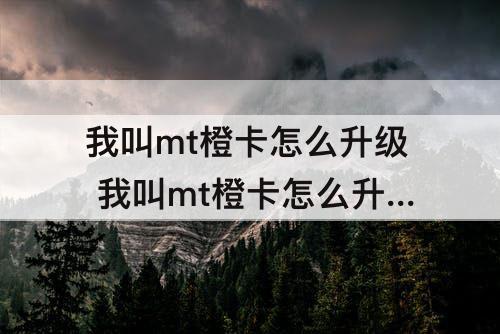 我叫mt橙卡怎么升级 我叫mt橙卡怎么升级95