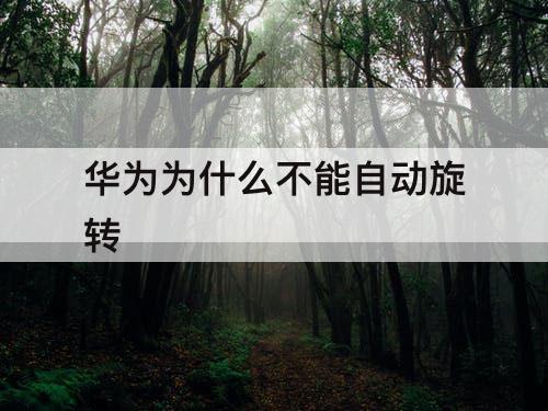 华为为什么不能自动旋转