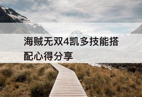 海贼无双4凯多技能搭配心得分享