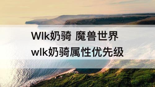 Wlk奶骑 魔兽世界wlk奶骑属性优先级