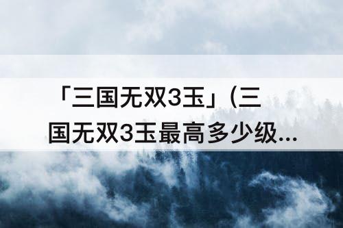 「三国无双3玉」(三国无双3玉最高多少级)