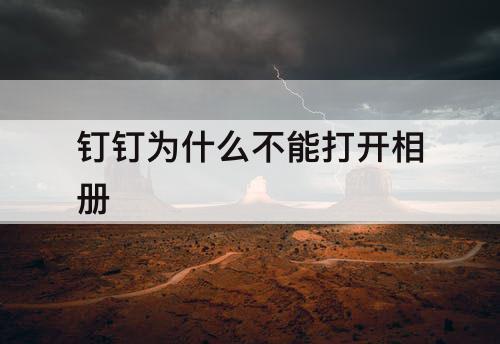 钉钉为什么不能打开相册