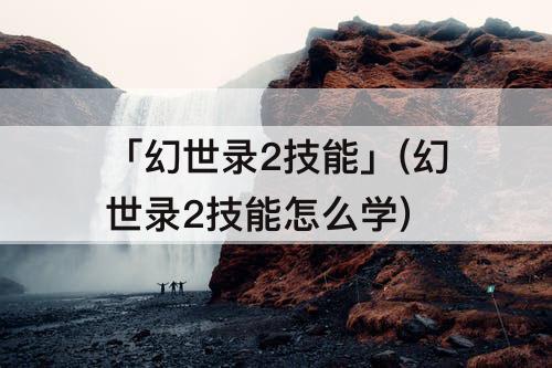「幻世录2技能」(幻世录2技能怎么学)