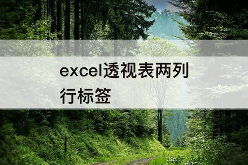 excel透视表两列行标签