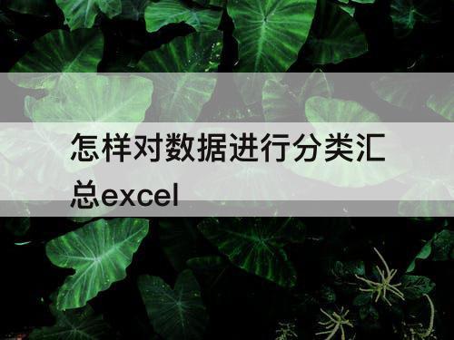 怎样对数据进行分类汇总excel