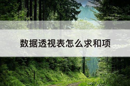 数据透视表怎么求和项