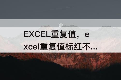 EXCEL重复值，excel重复值标红不显示