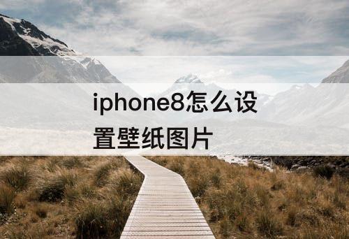 iphone8怎么设置壁纸图片