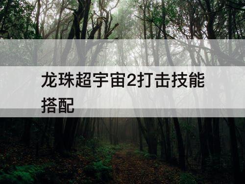 龙珠超宇宙2打击技能搭配